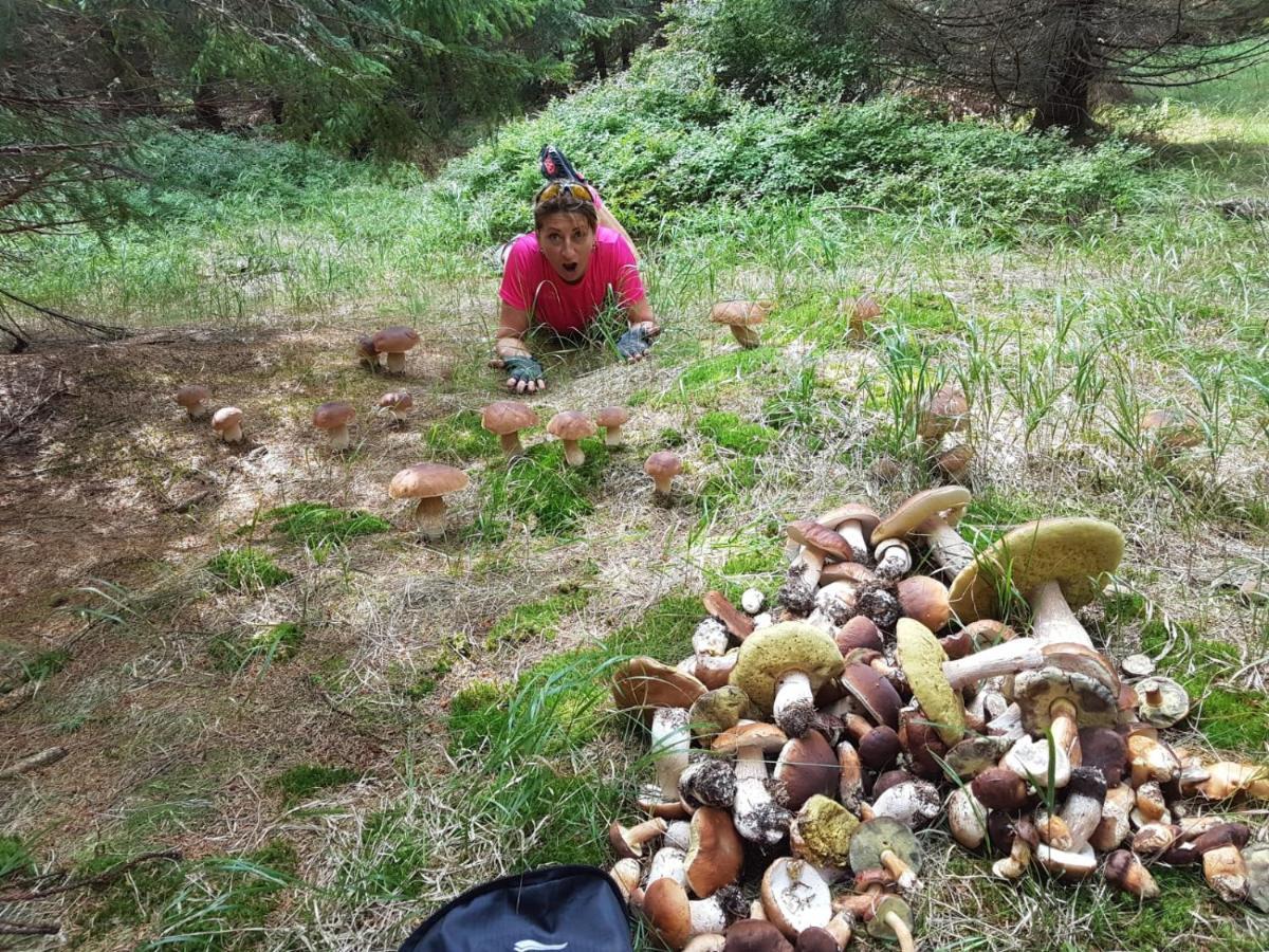 Penzion Eden Turnov Bagian luar foto