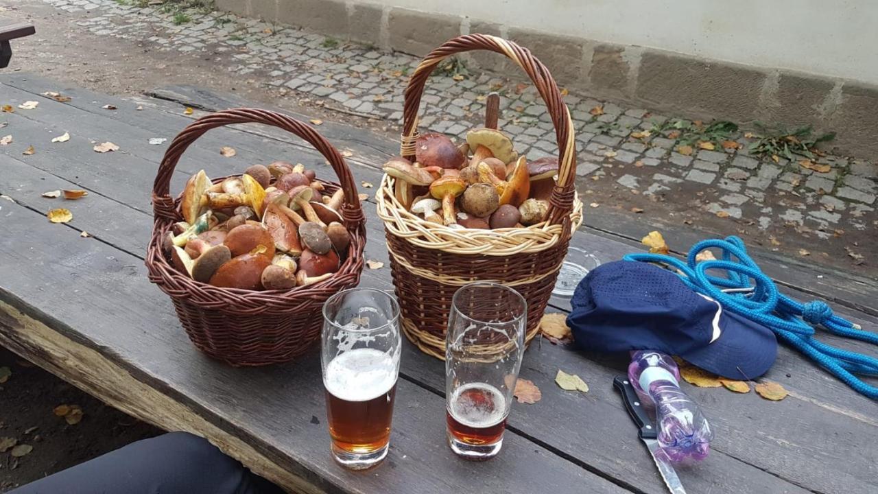 Penzion Eden Turnov Bagian luar foto
